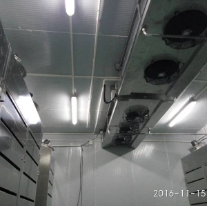 Máquina de descongelación de alta humedad a baja temperatura
