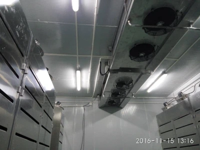 Máquina de descongelación de alta humedad a baja temperatura