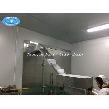 China high effective Spiral Freezing or Spiral IQF Freezer for chicken breast freeze