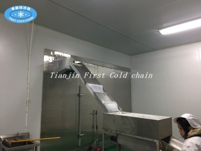 China high effective Spiral Freezing or Spiral IQF Freezer for chicken breast freeze