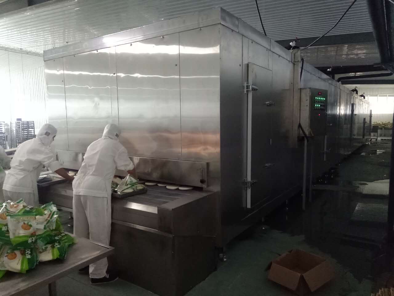 tunnel freezer 