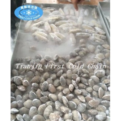 China liquid nitrogen Quick Freezer/ Liquid Nitrogen tunnel Freezer Machine