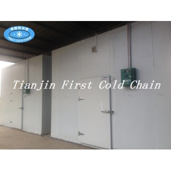 cost-effective Cold Storage or Cold Room supplier from China first cold chain