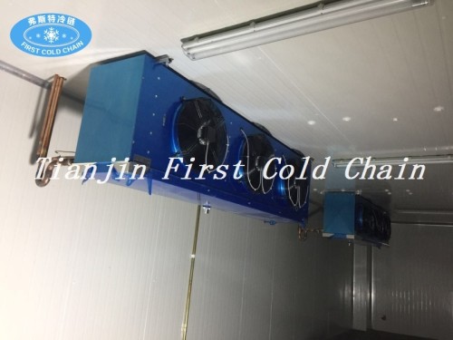 cost-effective Cold Storage or Cold Room supplier from China first cold chain