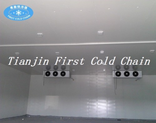 Suministro de China Almacenamiento frigorífico / sala de alta calidad con PU de acero inoxidable para verduras y frutas