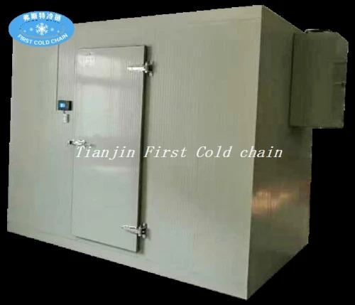 Pequeño cuarto frío combinado con usado para almacenamiento de alimentos
