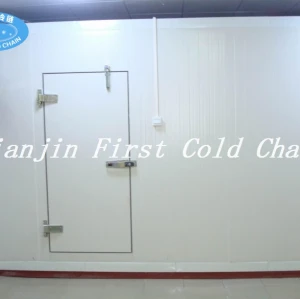 high quality Cold Room with color steel panels -18℃ for meat and fruit in China