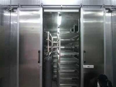 Thawing room equipment for Frozen Pork Beef Seafood and all kinds of meats