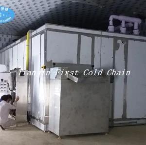 Fluidized Quick Freezer for Strawberries/Vegetable IQF Quick Freezing Equipment in China