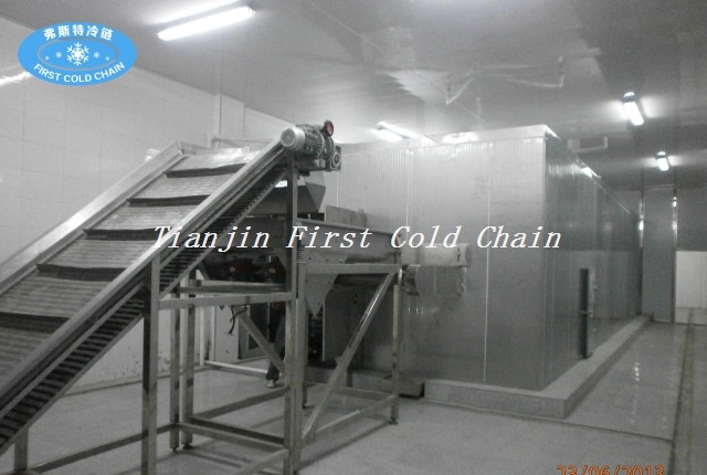 Fluidized Quick Freezer/Fluidization Individually Quick Freezer