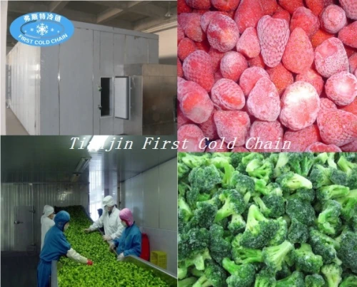 Línea de producción de chips congelados rápido y papas fritas IQF