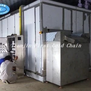 Línea de producción de chips congelados rápido y papas fritas IQF
