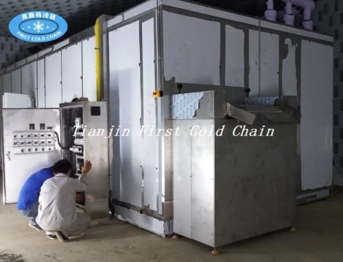 Línea de producción de chips congelados rápido y papas fritas IQF