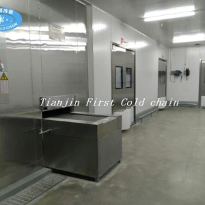 China ráfaga espiral rápida de alta calidad del congelador 500kg / h para SeaFood