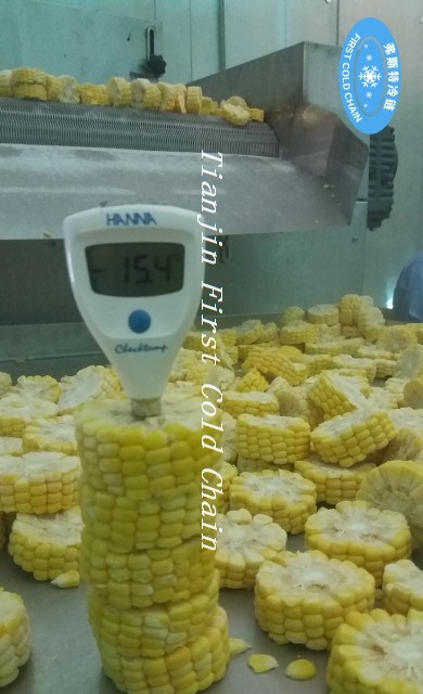 Fluidización de la sección de procesamiento de maíz congelado