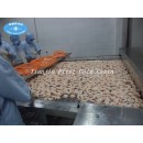 Tipo de túnel de procesamiento de carne congelada de mariscos