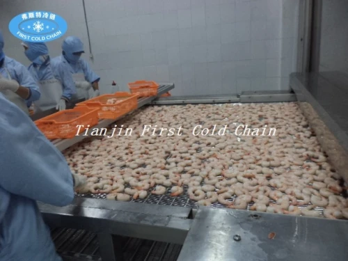 Tipo de túnel de procesamiento de carne congelada de mariscos