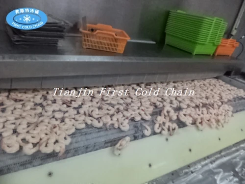 Congelador de túnel de comida de alto rendimiento