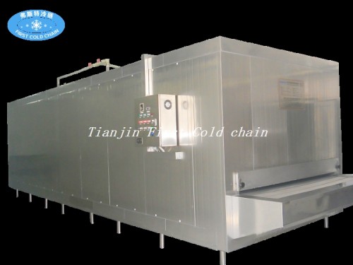 Китай Экономичный 150 кг / ч Быстрый морозильник для замороженных продуктов