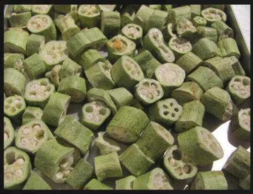 Freeze dryer machine for fruit freeze dry / freeze drying machine made in China first cold chain