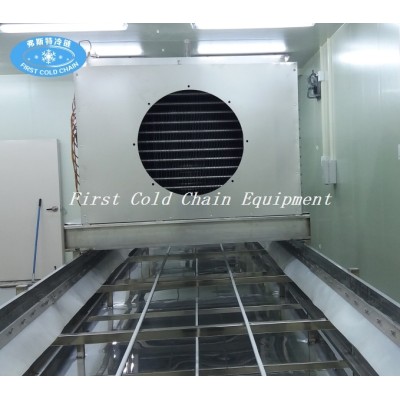 High quality 100kg/h China Tunnel Freezer for dough Industry freeze processing