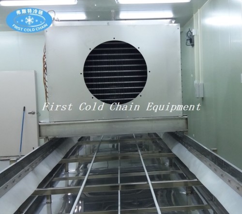 China FST Tunnel cooler for Food Industry processing quick cooling 400kg/h