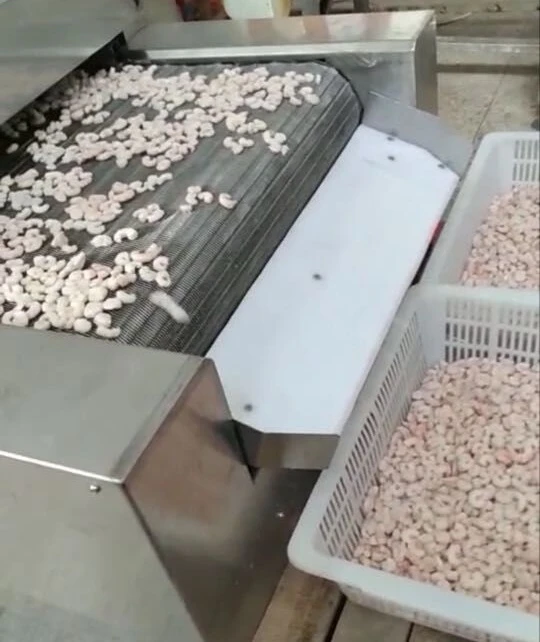 虾类速冻机