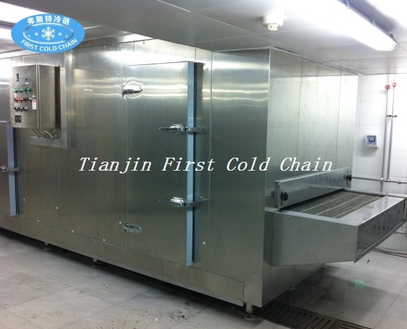 tunnel freezer 