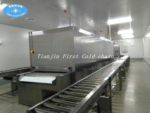 China Primera compañía de cadena de frío Atuomación completa 100 kg / h Túnel Congelador Tarta de huevo congelado