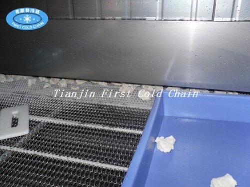 China, primer congelador de túnel de automatización de la cadena de frío 1500 kg / h para bolas de masa hervida, etc., de alimentos congelados