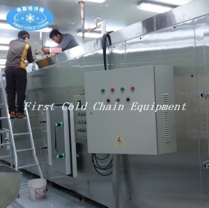 China congelador de túnel de 500kg / h de alta calidad para la venta caliente América con la unidad del compresor de frascold de Italia
