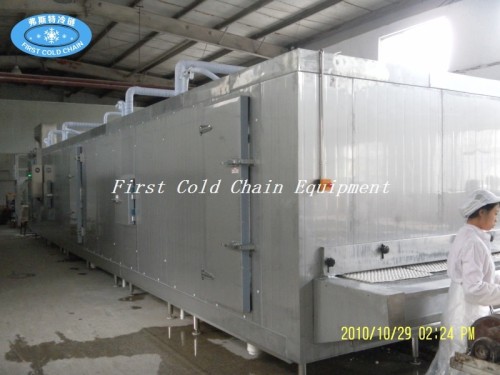 FSW1300 Tunnel Freezer for Frozen Seafood - Enjoy Quick Cooling with China's Top Manufacturer