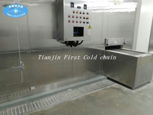 China Cost-effective FSL300 Spiral Freezer with Bitzer Freon refrigeration system freeze IQF shrimp