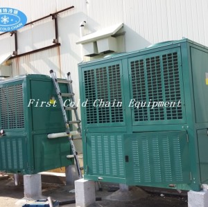 Efficient FSSL Double Spiral Freezer from First Cold Chain Provider - Perfect for IQF Seafood