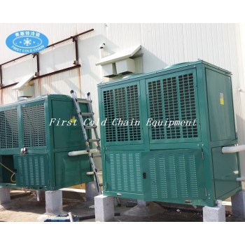 Efficient FSSL Double Spiral Freezer from First Cold Chain Provider - Perfect for IQF Seafood