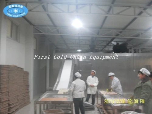 Professional Spiral Freezer Machine for Hamburger auto processing line in China