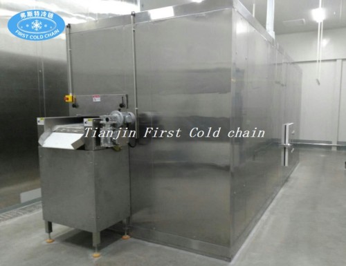 Small type Fluidized bed IQF freezer 100kg/h for frozen IQF vegetables from China