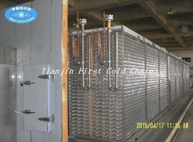 Fluidized Quick Freezer/Fluidization Individually Quick Freezer