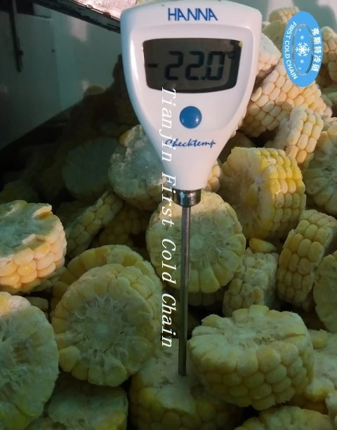 China  High Quality IQF machine for vegetables /quick freeze machine