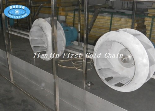High Quality Fluidized bed Quick Freezing for iqf corn from first cold chain