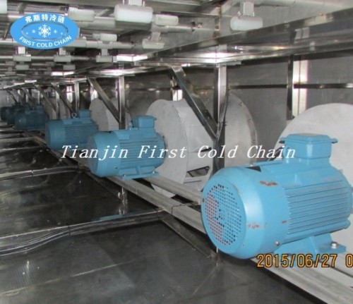 China high quality  Fluidization quick freezer/ Fluidized IQF freezer machine for fruits.