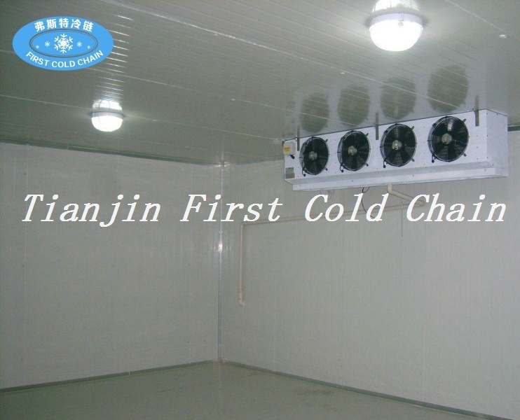 cold room 