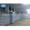 China high-effective Cold Room for Frozen Meat or Fish
