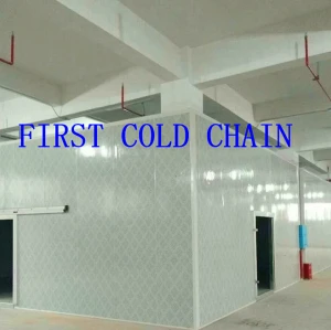 Suministro de China Almacenamiento frigorífico / sala de alta calidad con PU de acero inoxidable para verduras y frutas