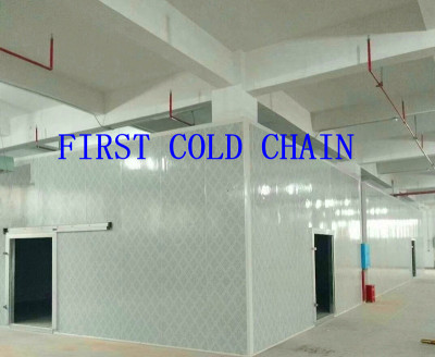 China supply High quality Cold Storage / Cold Room with stainless steel PU for Vegetable and Fruit