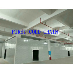 China high-efficiency Cold Storage / Cold Room for Vegetable and Fruit
