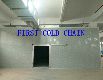 China customization Cold Storage  / Cold Room for Vegetable and Fruit