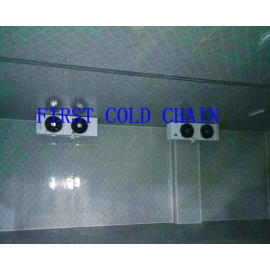 Factory supply Cool Room for Fruit and Vegetable from China
