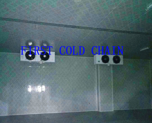 Factory supply Cool Room for Fruit and Vegetable from China