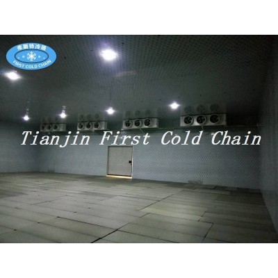 China supply high effective  Cold Storage / Cold  Room for frozen food